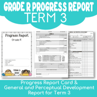 Progress Report Grade R Term 3