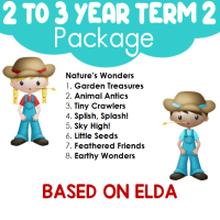 2 to 3 Year Curriculum Term 2